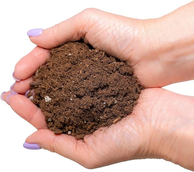 GARDENERA Citrus Tree Potting Soil Mix, Special Blend for Indoor Oranges, Lemons, Limes and More - (2 Quart Bag)