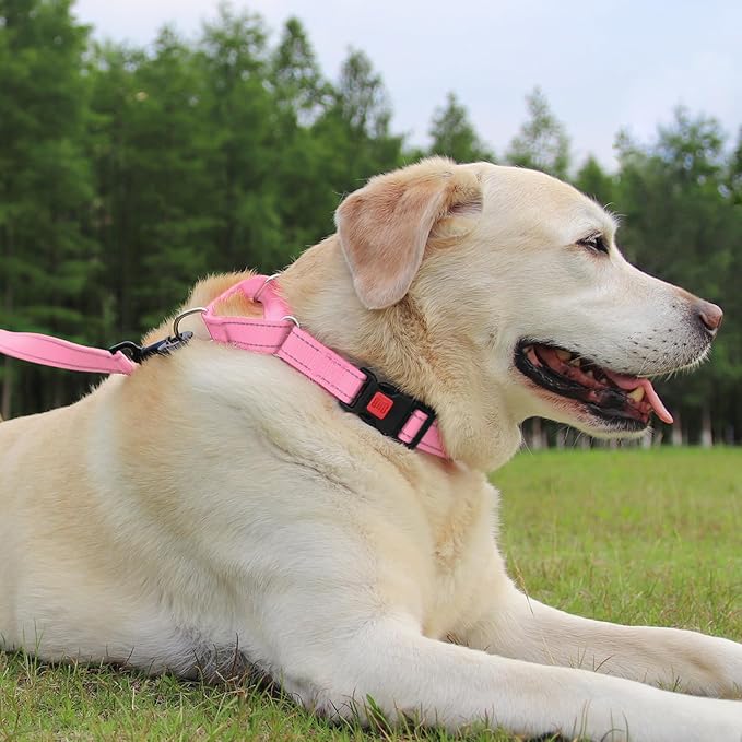 Joytale Martingale Collar for Dogs, Reflective Heavy Duty for Safety, Quick Release Buckle, Adjustable Nylon Collars for Large Dogs Walking Training, Pink, L