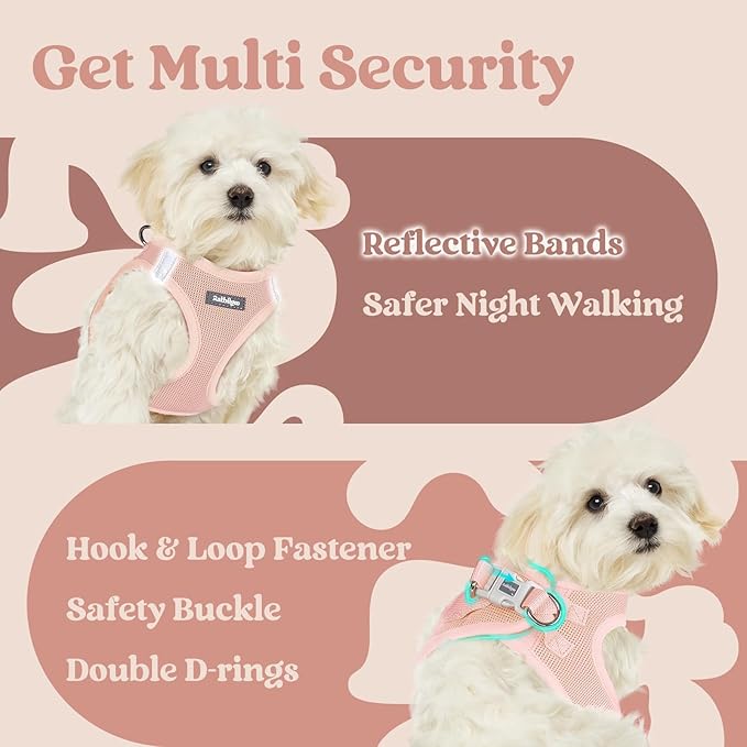 rabbitgoo Small Dog Harness, Step-in Soft Mesh Puppy Vest with Safety Buckle, Breathable Reflective Pet Harness for Small Medium Dogs, Pink XL