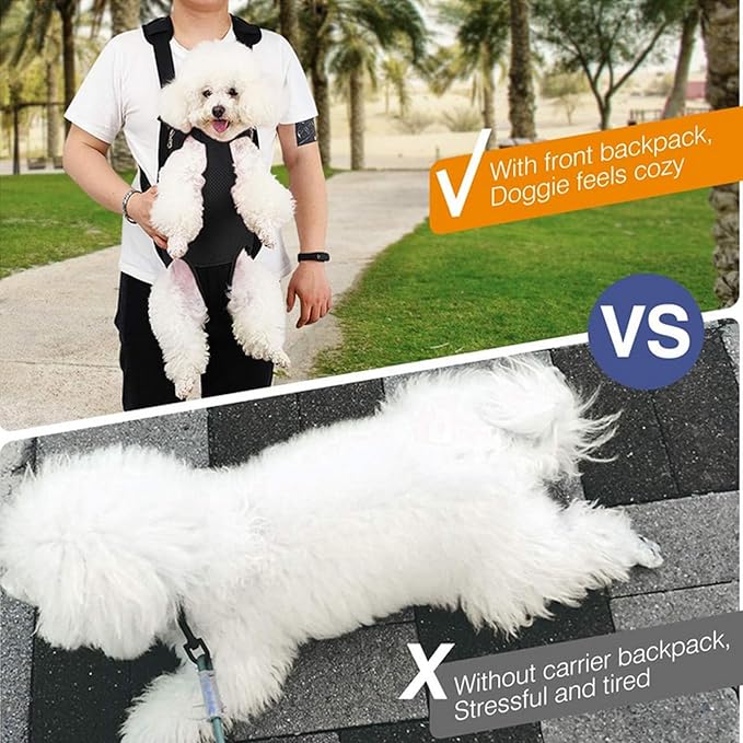 Lightweight Pet Backpack Carrier for Small Dogs & Cats - Easy-Fit Adjustable Straps, Basic Legs-Out Design, Durable for Daily Use (Fits Pets Under 15lb) (Yellow-White Color-Blocked, XX-Large)