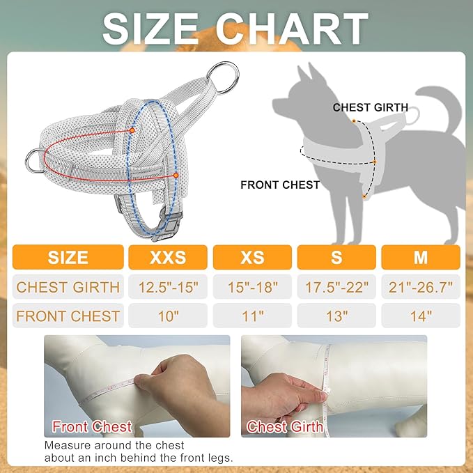 BEAUTYZOO Dog Harness for Small Dogs, No Pull Dog Harness and Leash Set, Soft Escape Proof Puppy Vest Harness with Handle, Reflective Lightweight Step in Harness for Girl Boy Dogs, Black XS