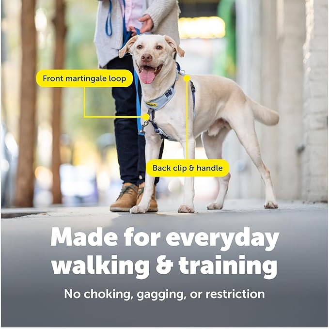PetSafe Easy Walk Comfort No-Pull Dog Harness - Better Walk Training Harness - Full Body Padded Design - Durable Fabric - 5 Point Adjustable Fit - Everyday Leash Training - Black - Large