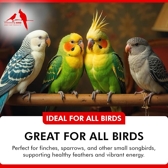 Morning Bird Calcium Plus Powder for Birds 16 oz – Calcium Supplement with Vitamin & Protein Powder – Supports Bone Health, Muscle Function & Digestive Balance – Easy-to-Mix Calcium Formula