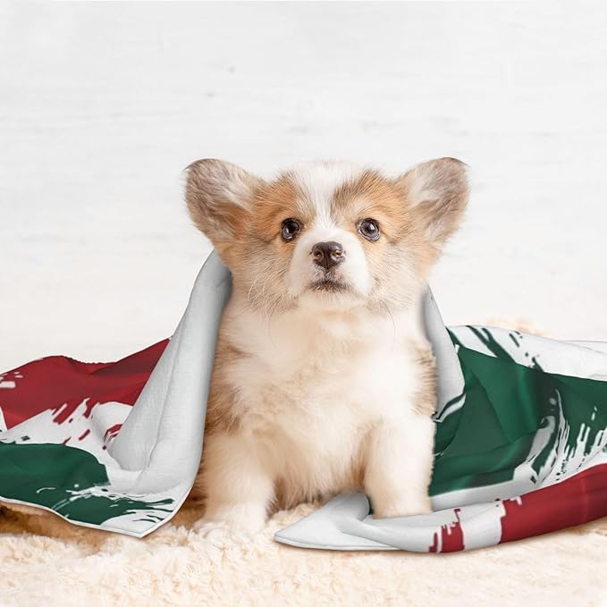 Reversible Dog Blanket for Beds Couches, Mexico Flag Cool Eagle, Double Sided Cat Blanket with Textured Dot Feel and Smooth Feel for Seasonal Comfort All Year