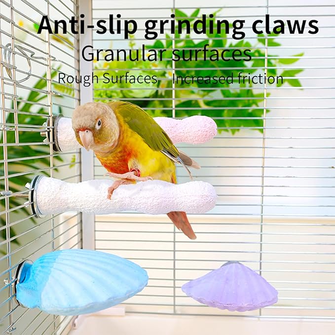 Bird Perches for Cage, Abrasive Surface High Calcium Mineral Parrot Perch Stand - Bird Nail File for Claw & Beak Health, Colorful Ceramic Bird Cage Accessories (Purple, Shell)