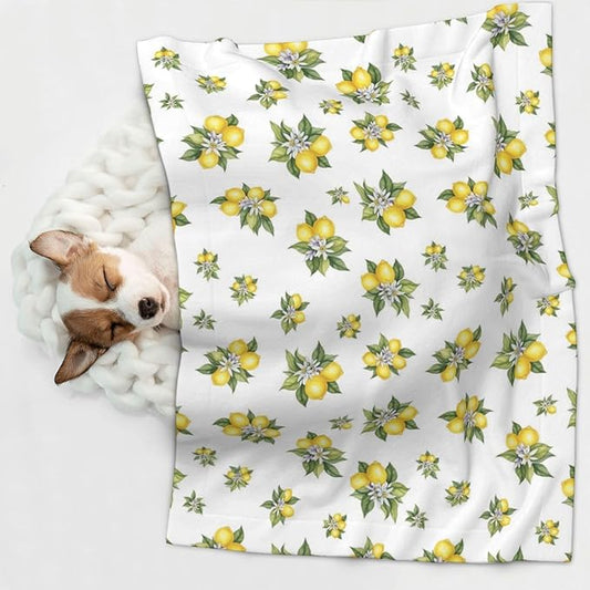 Double Sided Plush Pet Blanket with Cozy Dot Texture and Smooth Reverse, Yellow Lemons Trees With Green Leaves And White Flower Summer Plant, Reversible Throw for Dogs Cats on Couches Beds Crates