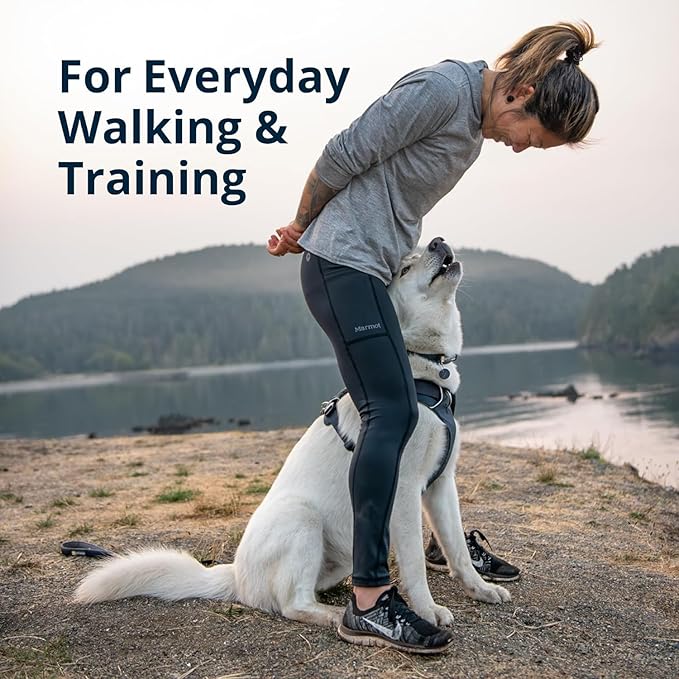 Ruffwear, Front Range Dog Harness, Reflective Soft Padded Everyday Harness with Dual Leash Clips, Adjustable and Lightweight Fit for Training or Walking for All Dogs, Blue Pool, XX-Small