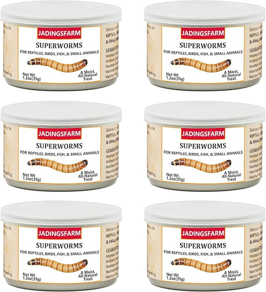 6 Pack Canned Superworms for Reptiles, Fish, Birds and Small Animals, Super Worms, Healthy High Protein Treat for Reptile Bird Fish Food 7.2 Ounces Total