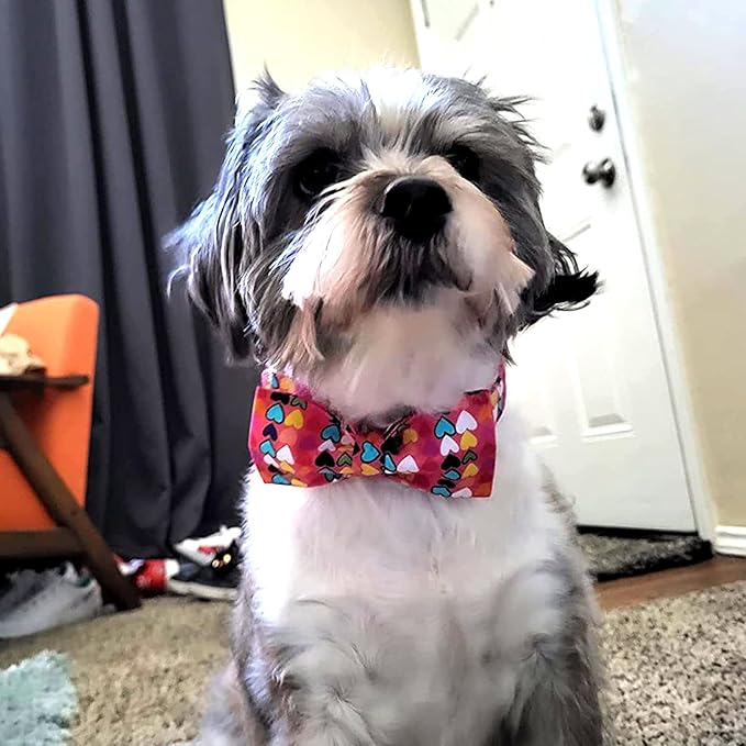 Lionheart glory Valentine's Dog Collar, Dog Collars with Bow, Pet Collar Adjustable Dogs Bowtie Pet Collars for Medium Dogs