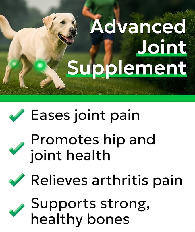Glucosamine Chondroitin Dog Hip & Joint Supplement - Joint Pain Relief - Hip & Joint Chews for Dogs - Joint Support Large Breed - Senior Doggie Vitamin Pills Joint Health - (240 Treats - Chicken)