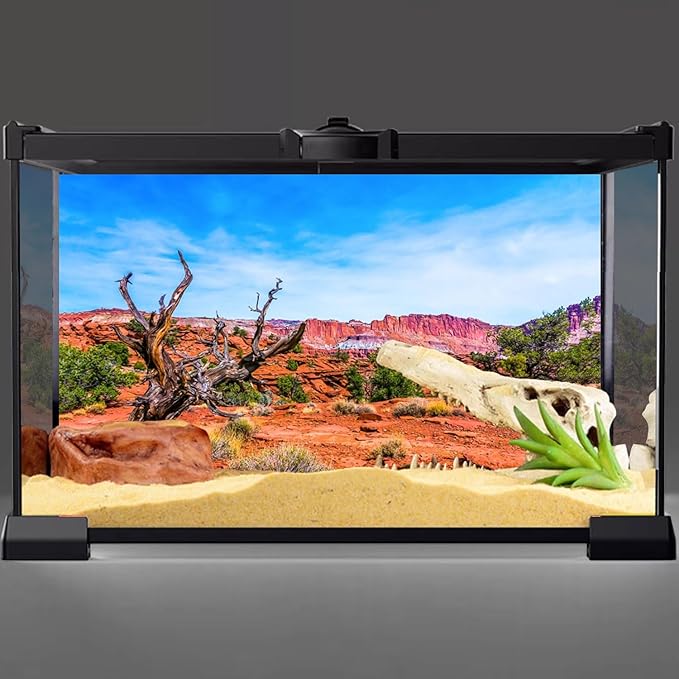 AWERT 72x24 inches Reptile Habitat Background Blue Sky Oasis Orange Desert Terrarium Background Durable Polyester Background