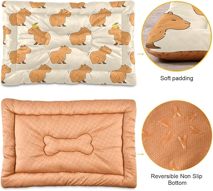 Cute Capybara Pet Bed Cute Dog Bed Mat Absorbing Non Slip Pad Pet Sleeping Mat for Small, Medium, and Large Dogs Puppy Cat 24 in x 18 in