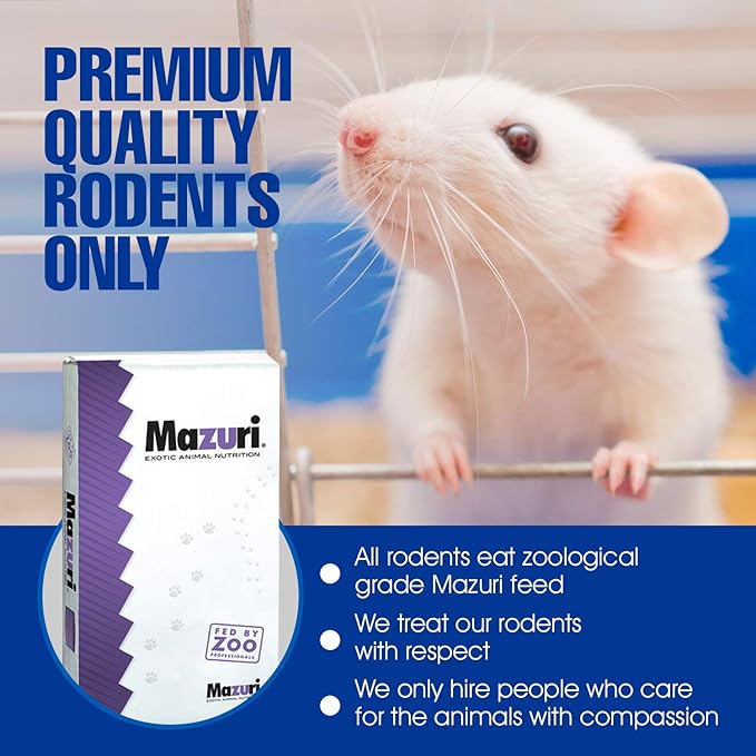MiceDirect EST. 2003 150 Frozen Mice Small Fuzzie Feeders Snake Food for Juvenile Hognose Corn Milk (.5-1 in) (450 Grams Min)