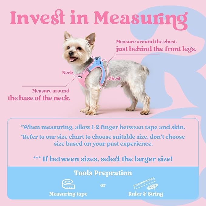 rabbitgoo Small Dog Harness, Step-in Soft Mesh Puppy Vest with Safety Buckle, Breathable Reflective Pet Harness for Small Medium Dogs, Blue & Light Pink XL
