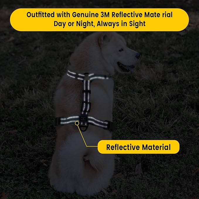 Roses&Poetry Small Dog Harness and Leash Set, No Pull Dog Harness Adjustable Reflective, Dog Halter Harnesses Comfort Padded Handle, Pet Harness for Training Outdoor Walking（Gsky-S
