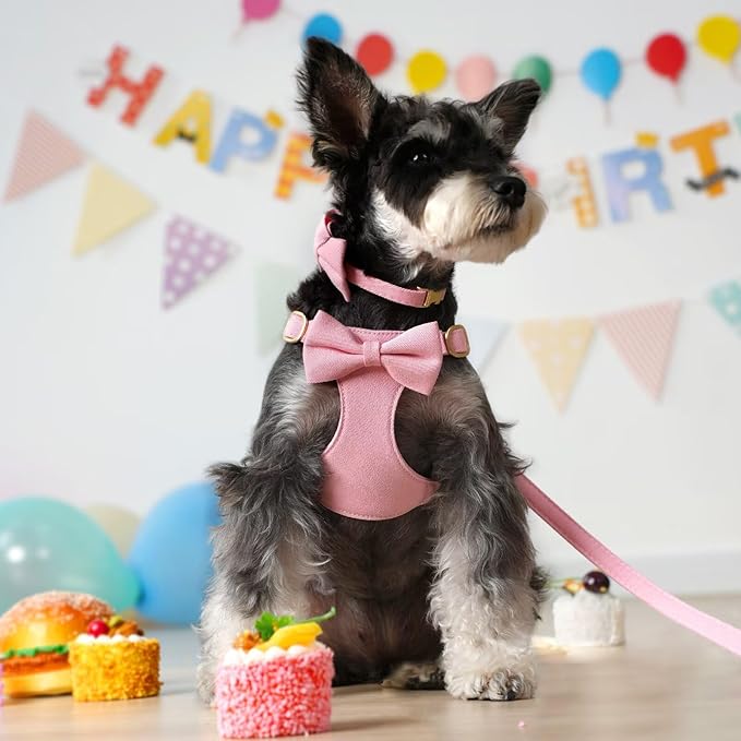Beirui Adorable Small Dog Harness Collar Leash Set,Cute Puppy Harness with 3 Bows for XS Dogs,Yorkie,Adjustable Step-in Vest for Walking,Parties&Holiday Outfits(Pink,XS)