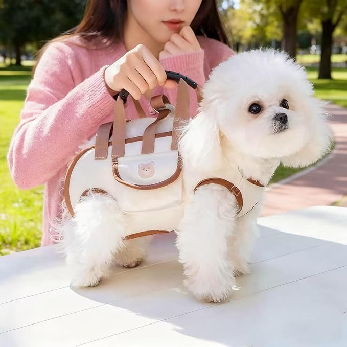 Portable Small Dog & Cat Pet Carrier Sling & Backpack for Small Dogs & Cats & Puppy, Dog & Pet Purse Bag Carrier Sling for Small Dogs with Dog Traction Leash, Crossbody Sling Carriers (Black M)