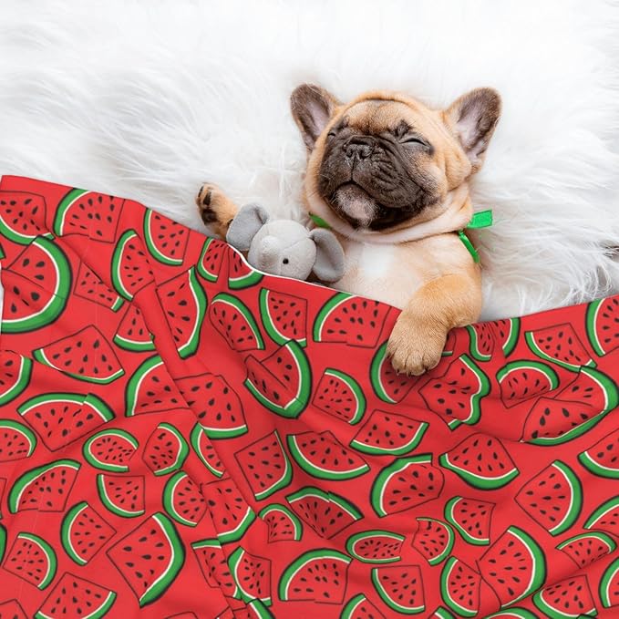 Two Sided Pet Cuddler Blanket for Anxiety Calming, Summer Fruit Red Green Watermelon, Reversible Plush Design with Bubble Dot Pattern Provides Familiar Surface Anywhere