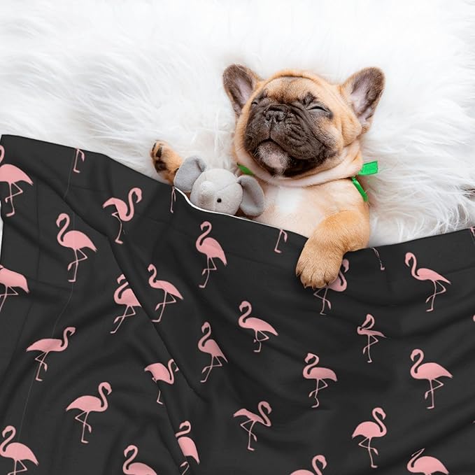 Pet Blanket for Travel and Home, Flamingo, Reversible Plush Dot Design with Soft Grip Texture on One Side Perfect for Car Seats Moving Vehicles