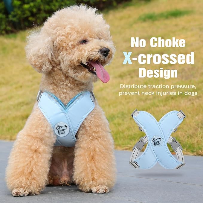 Pawaboo Small Dog Harness and Leash Set, Puppy Harness X-Frame No Pull No Choke, Dog Vest Harness Adjustable for Small Medium Sized Dogs, Soft Breathable Pet Harness for Walking Outing (S, Blue)