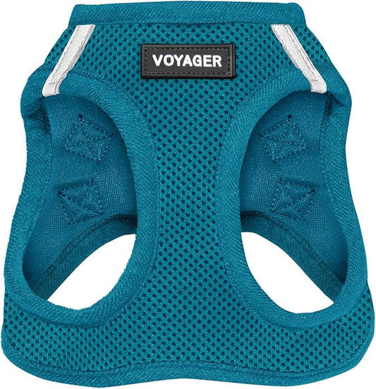 Best Pet Supplies Voyager Step-in Air Harness - All Weather Mesh, Reflective, No Pull Harness for Dogs, Cats - Secure with Hook & Loop Fastener, Buckle, Double D-Rings - Turquoise, S