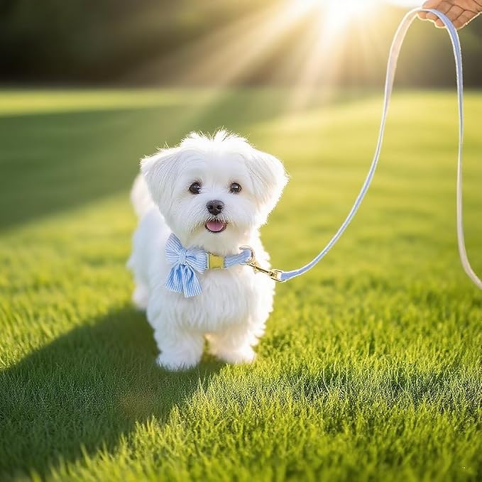 Dog Collar and Leash Set with Bowtie, Girl Dog Collars Metal Buckle Adjustable for Small Medium Dogs (Blue, M: Neck 13"-22" Leash 5 FT)