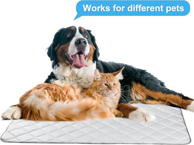 Langsprit Dog Cooling Mat, Washable Dogs Cats Pet Non-Toxic Cooling Pads Summer Sleeping Kennel Mats，Pet Self Cool Ice Blanket for Indoor & Outdoor Dog Beach Essentials Light Gray Small