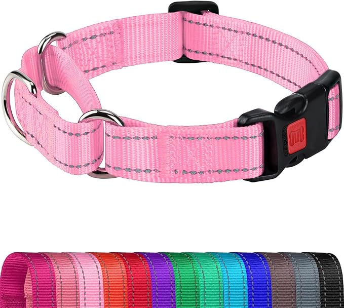 Joytale Martingale Collar for Dogs, Reflective Heavy Duty for Safety, Quick Release Buckle, Adjustable Nylon Collars for Large Dogs Walking Training, Pink, L