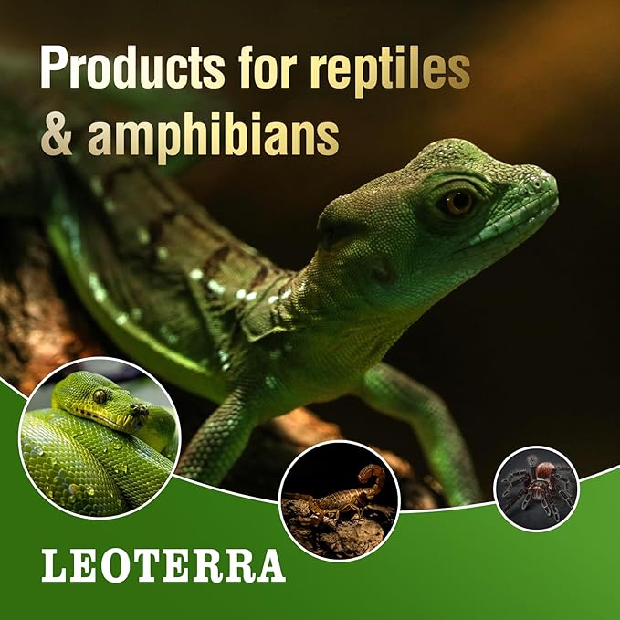 Leoterra Reptile UVB Light Bulb UVA UVB Reptile Lamp - 13W 5.0 Energy Efficient UVB Lamp for Geckos,Green Iguanas,Frog - E26 Base Dual Lighting Fixture with 8000H Long Lifespan