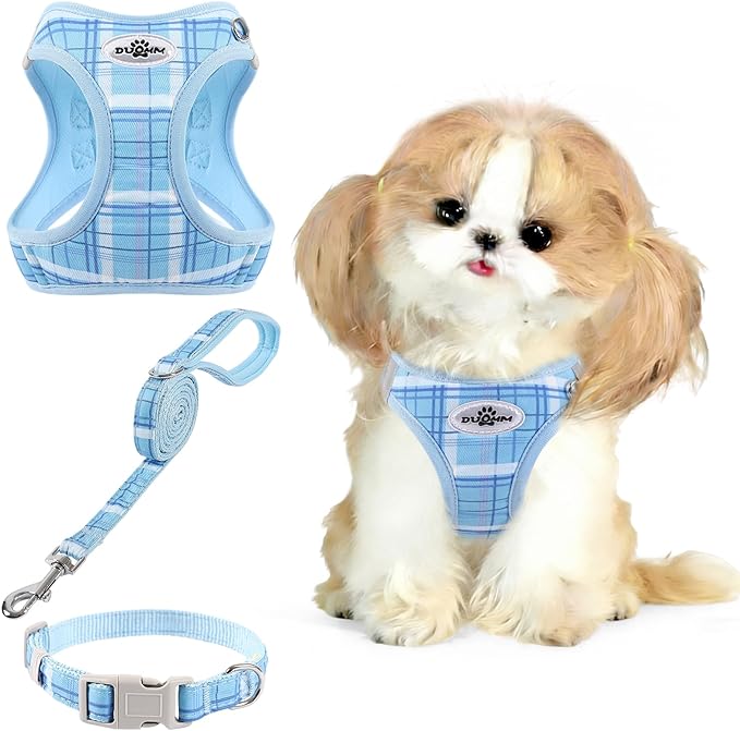 Gyuzh Small Dog Harness and Leash Set for Puppy & Kitten - 3-in-1 No Pull Step in Vest Collar, Lightweight Reflective Plaid, Padded Handle (Blue, XS)