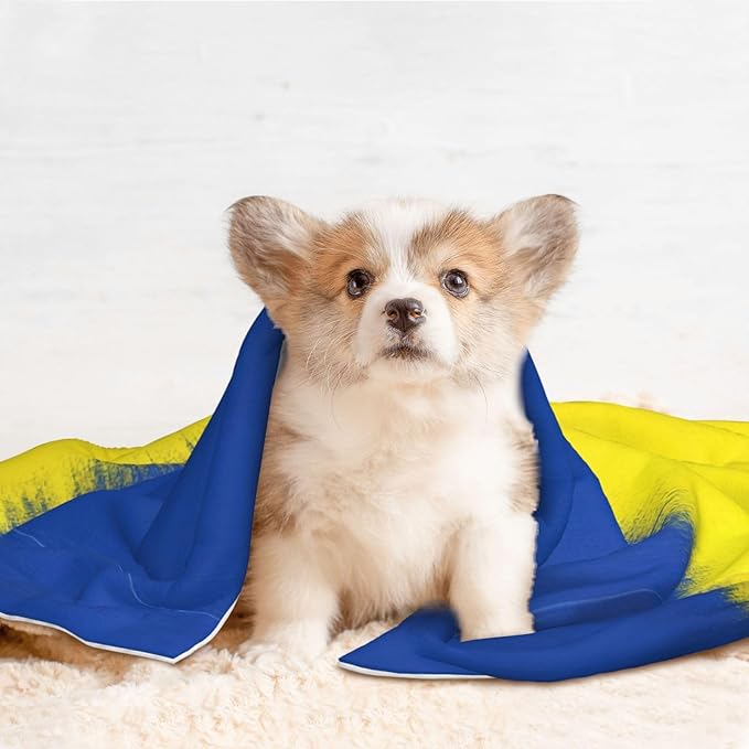 Two Sided Plush Pet Blanket for Crates Carriers Home Use, Abstract Artistic Ukrainian Flag, Reversible Throw with Cozy Dot Fabric and Silky Reverse for Small Large Pets