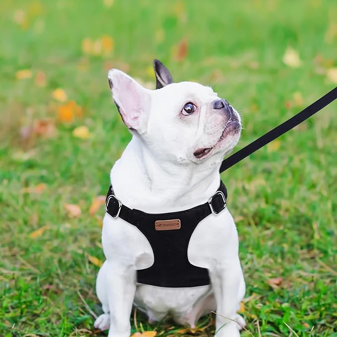 Dog Harness and Leash Set, XXS No Pull Adjustable Puppy Harness with Multifunction Pink Dog Leash and Dog Collar, Soft No Choke Escape Proof Pet Harness Vest for Small Dogs and Cats (Black, S)