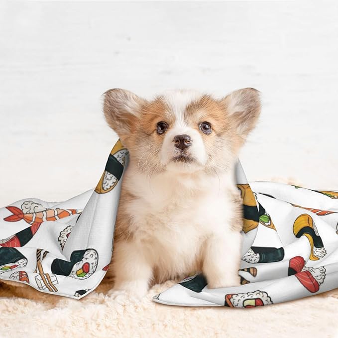 Reversible Plush Pet Blanket for Puppies Kittens, Sushi, Double Sided Gentle Dot Texture for New Pets Adjusting to Home Environment Softly