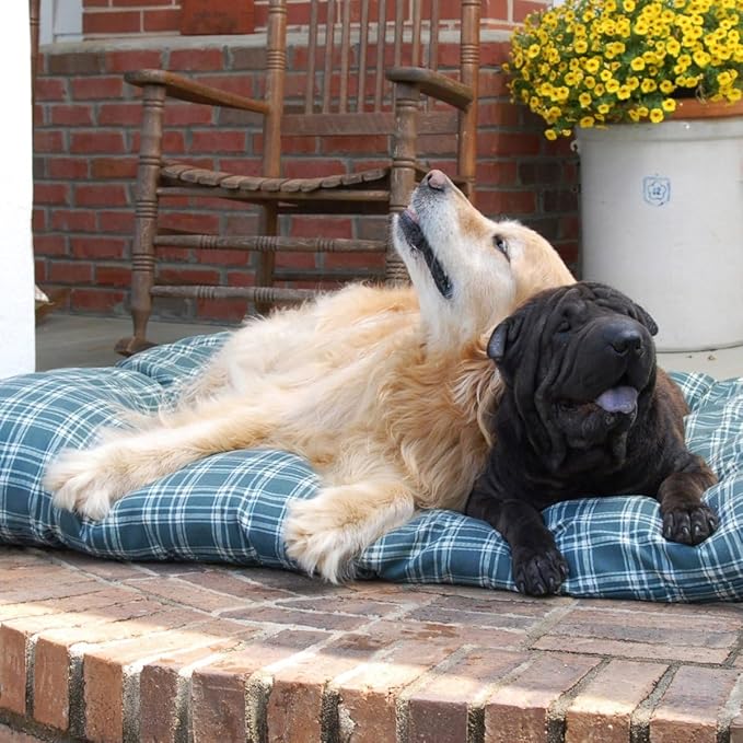 Carolina Pet Green Plaid Shebang Rectangle Indoor/Outdoor Bed M