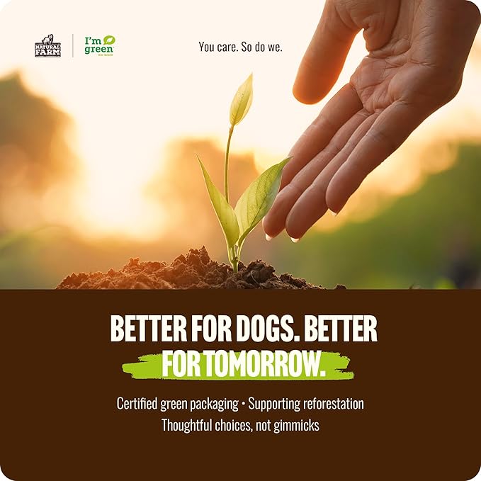 Natural Farm Odor-Free Braided Bully Sticks (12 Inch, 10 Pack) - 100% Grass-Fed Beef, Grain-Free, Low Fat & Fully Digestible Best Dental Treats - Safest Long Lasting Pizzle Chews to Keep Your Dog Busy