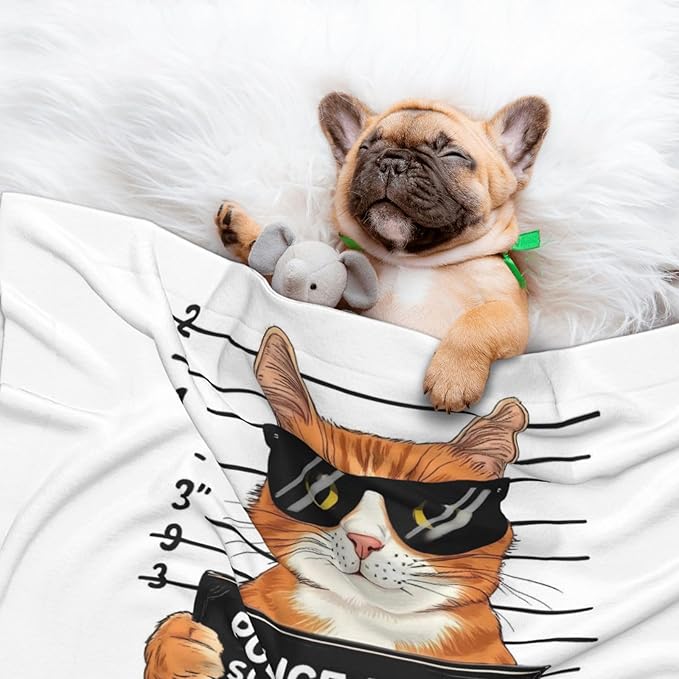 Cat Holding Mugshot Sign Print Soft Plush Pet Blanket, Washable Dog Blanket, Cat Fleece Throw, Puppy Bed Crate Mat & Sofa Couch Protector - Medium