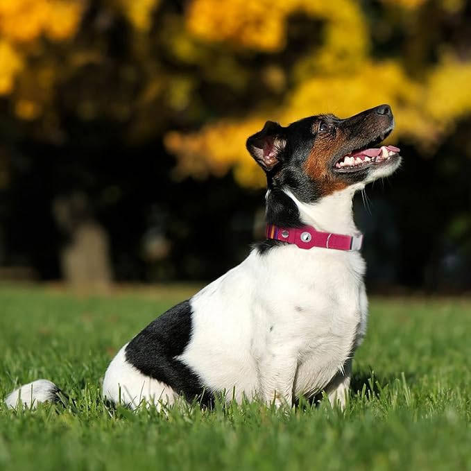 AirTag Dog Collar for Small Medium Large Breed - Adjustable Cute Pattern Dog Collar with Airtag Holder - Soft Leather Tracker GPS Apple Air Tag Pet Collars (X-Large, 20"-25" Neck Fit, Striped)