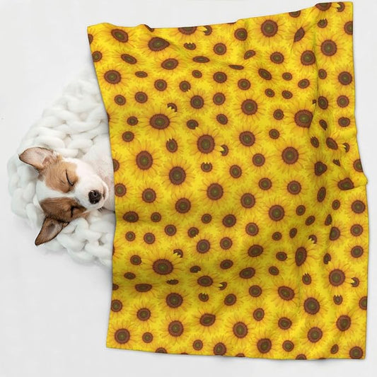Pet Blanket for Couches and Beds, Beautiful Sunrise Sunflower Art, Reversible Double Sided Plush Design with Soft Bumpy Texture and Smooth Surface, Furniture Protector