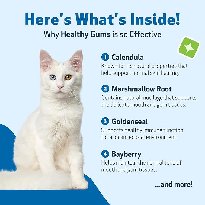 Pet Wellbeing - Healthy Gums for Cats - Natural Support for for Healthy Gums, Teeth and Breath in Felines - 2oz (59ml)