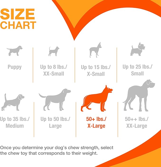Nylabone Textured Dental Bone Power Chew Toy for Dogs, Dog Toys for Aggressive Chewers, Flavor Medley Flavor, X-Large - 50+ lbs, 1 Count