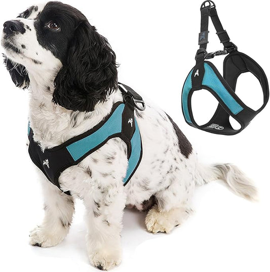 Gooby - Escape Free Easy Fit Harness, Small Dog Step-in Harness for Dogs that Like to Escape Their Harness, Turquoise, Small
