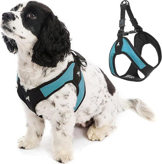 Gooby - Escape Free Easy Fit Harness, Small Dog Step-in Harness for Dogs that Like to Escape Their Harness, Turquoise, Medium