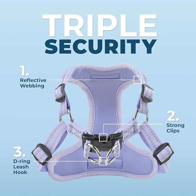 Best Pet Supplies Voyager Adjustable Step-in Flex Breathable Mesh Dog Harness for Small Medium Large Dogs (Lavender), M