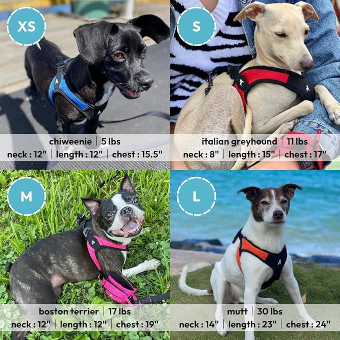 Gooby Escape Free Easy Fit Harness - Black, Medium - No Pull Step-in Patented Small Dog Harness with Quick Release Buckle - Perfect On the Go No Pull Harness for Small Dogs or Medium Dog Harness
