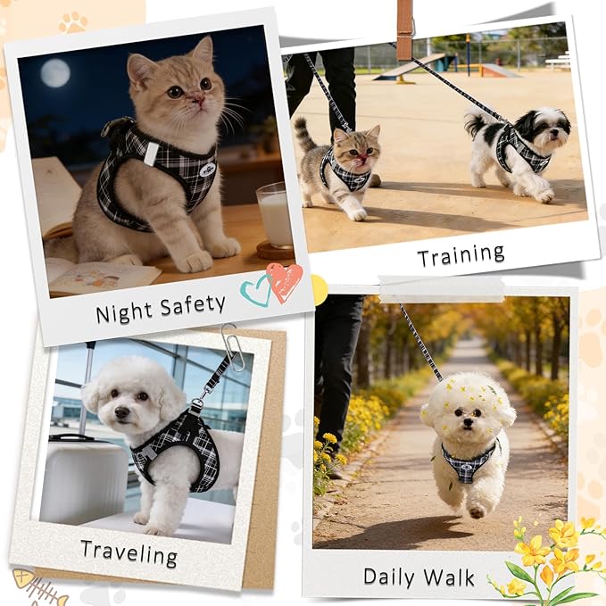 Gyuzh No Pull Cat Harness - 3-in-1 Step in Harness Collar Leash Set for Puppy & Kitten Walking & Training, Lightweight Plaid Vest (Black, M)