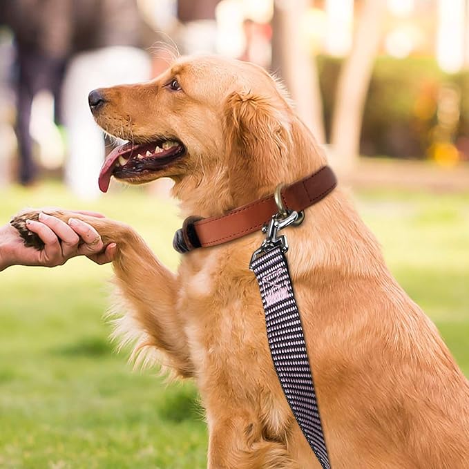 Hi Kiss Dog/Puppy Obedience Recall Training Agility Lead - 15ft 20ft 30ft 50ft 100ft Training Leash - Great for Training, Play, Camping, or Backyard(15ft,BL+PK)