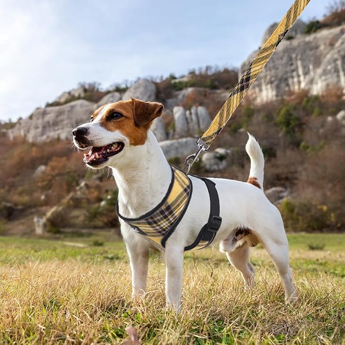 PUPTECK Soft Mesh Dog Harness and Leash Set Pet Puppy Cat Comfort Padded Vest No Pull Harnesses, Yellow, M