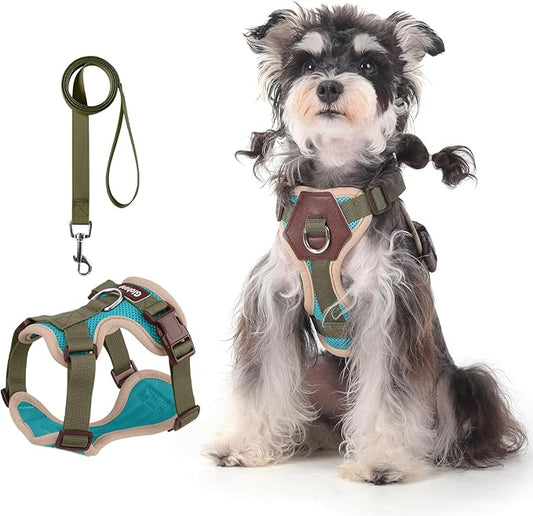 Small Dog Harness and Leash Set, Breathable Mesh Puppy Harness, Adjustable Dog Harness for Small Medium Large Dogs, No-Pull Pet Harness for Daily Walking (Lakeblue, Medium)