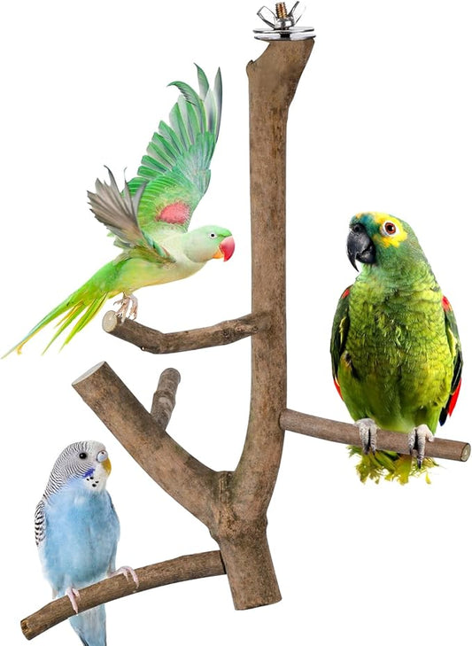Bird Perch Stand, Natural Vitex Negundo Wood Parrot Perch Bird Cage Branch Perch, Accessories for Parakeets, Cockatiels, Conures, Macaws, Finches, Lovebirds (12" Length)