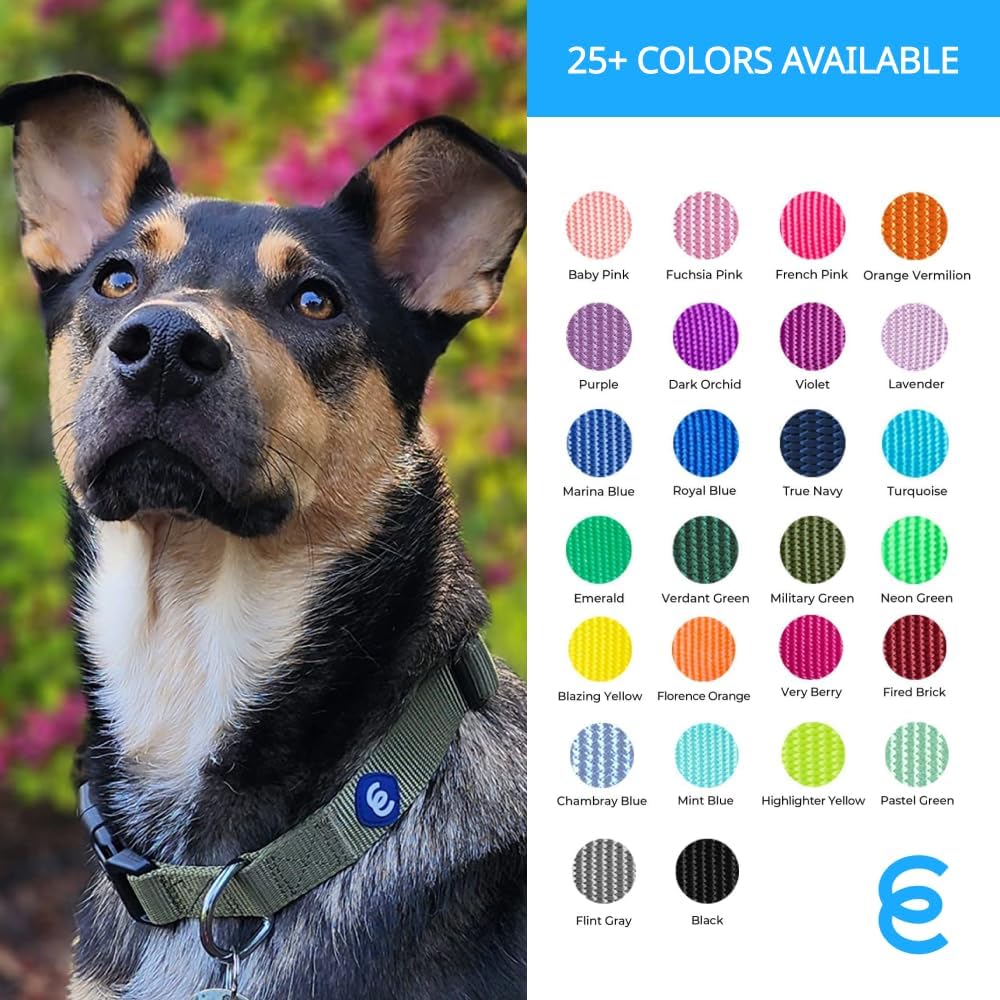 Blueberry Pet Essentials Small Dog Collar in Flint Gray | Adjustable & Eco-Friendly Durable Nylon Strap | Classic Collar for Small Dogs, Boy & Girl Pets